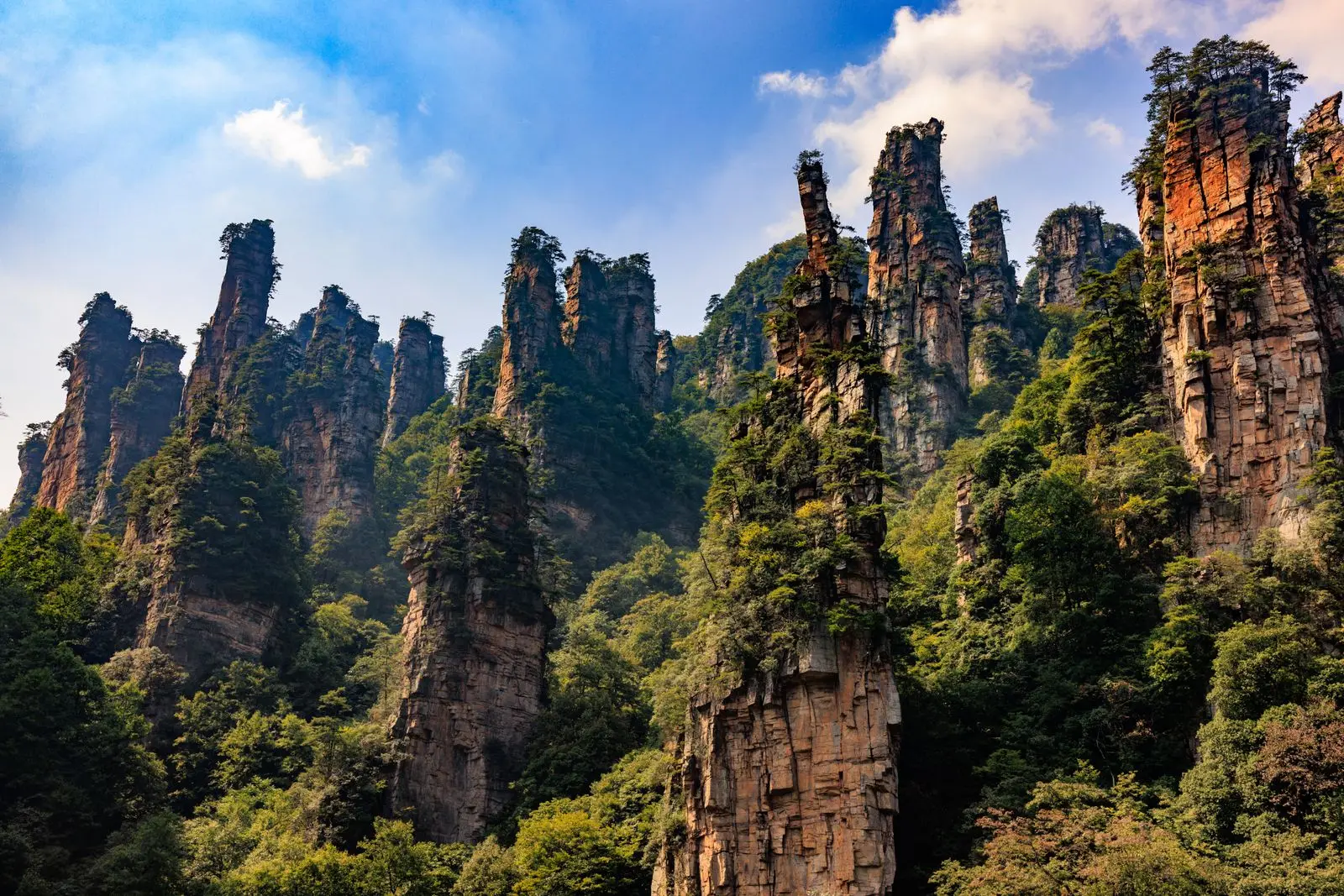 Pilares de piedra cubiertos de vegetación en el parque nacional de Zhangjiajie