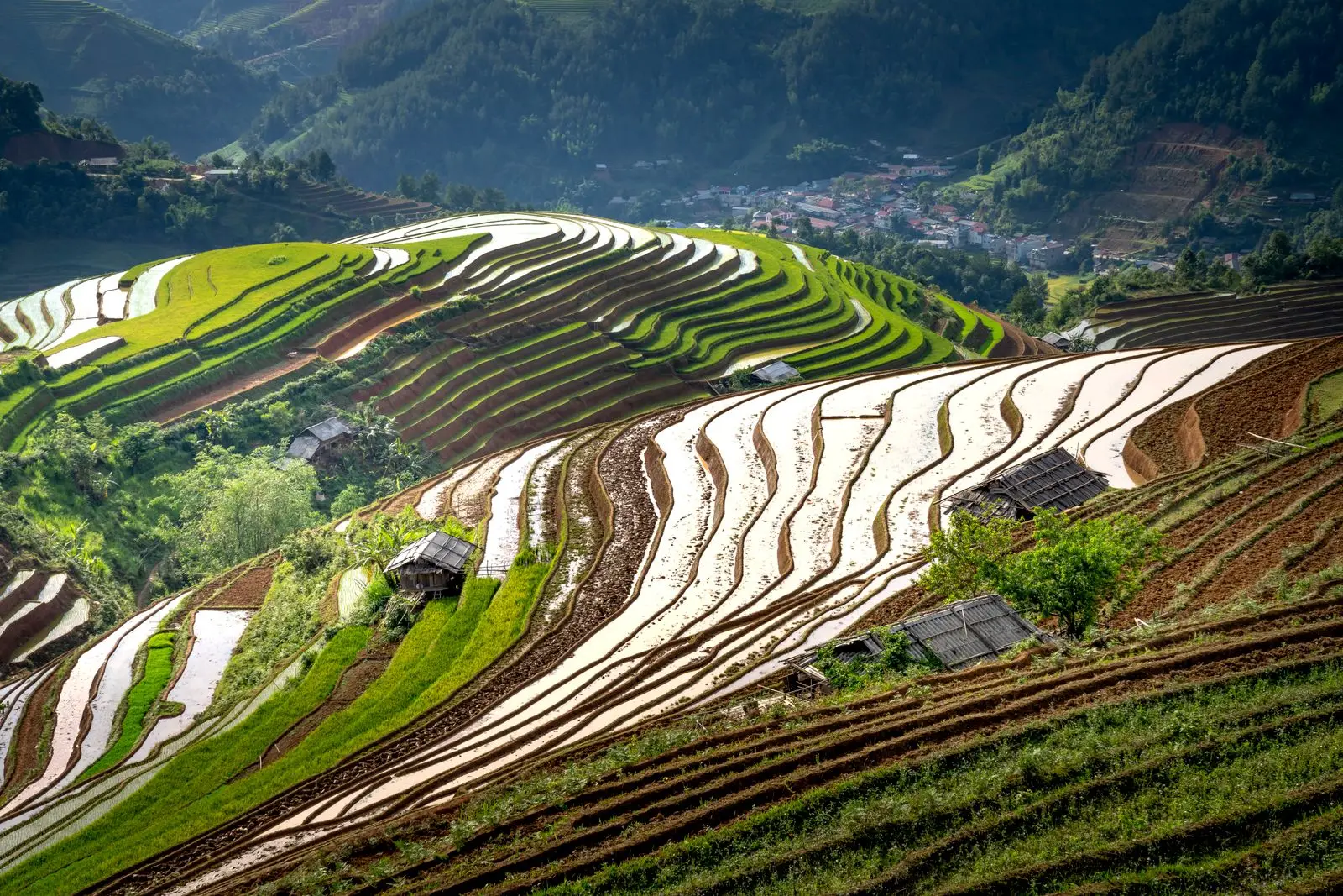 Terrazas de arroz inundadas reflejando la luz en Longsheng