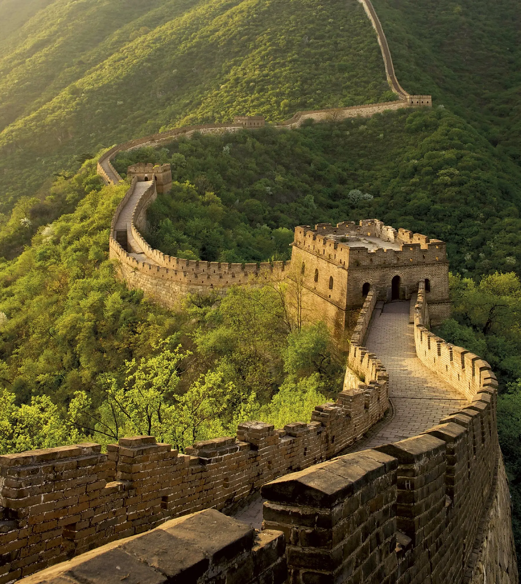 La Gran Muralla china serpenteando entre montañas boscosas al atardecer