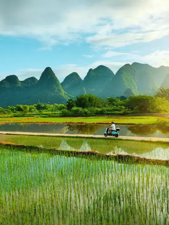 Arrozales y colinas kársticas en el campo de Yangshuo, con un camino entre los campos inundados